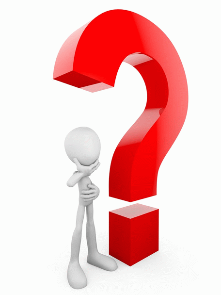 چه نوع شیری به بچه گربه بدهیم؟ 19 نکته حیاتی و معرفی بهترین جایگزین‌ها