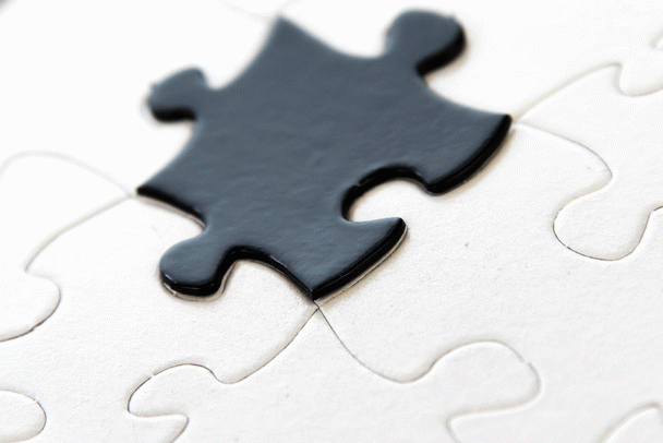 بررسی 19 نکته درباره‌ی مصرف و میزان مجاز زردآلو برای سگ‌ها