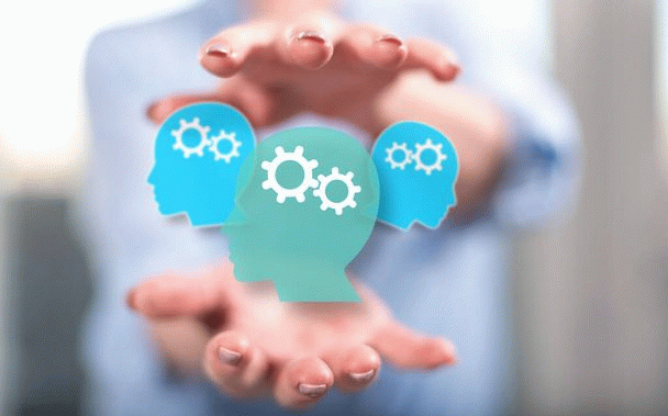 بررسی 19 نکته ضروری در مورد تغذیه طوطی برزیلی در تمام سنین